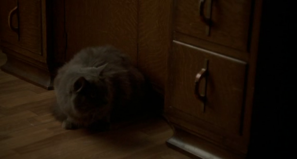 vlcsnap-2019-10-14-22h42m13s005.png