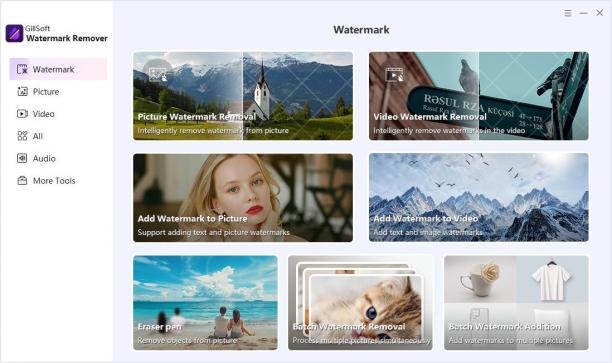 Gilisoft Watermark Remover sc.jpg