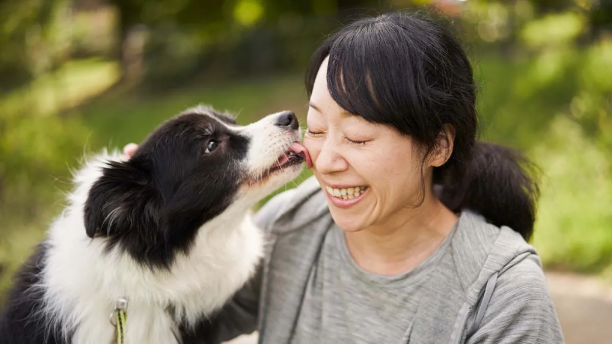 Pets Photography - Make Your Passion An Extra Income.png