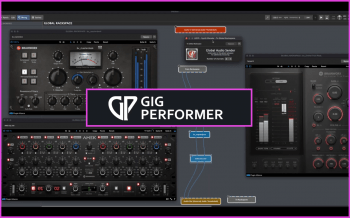 Deskew Technologies Gig Performer.png