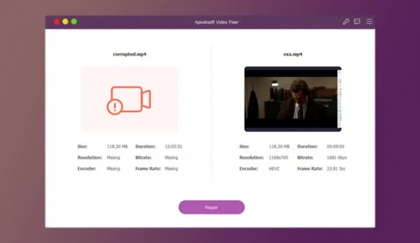 Apeaksoft Video Fixer sc.png