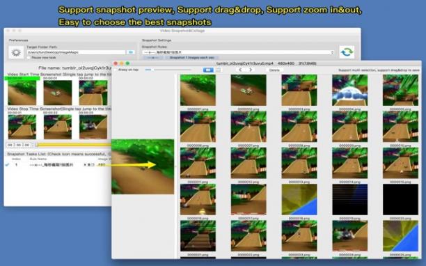 Video Snapshot&Collage screen.jpg