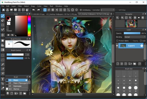 MediBang Paint Pro screen.jpg