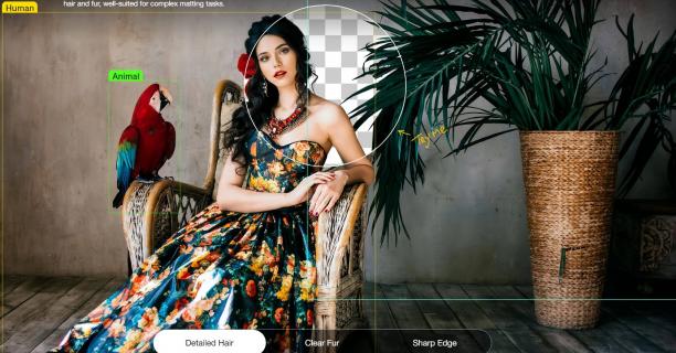 Digiarty AIArty Image Matting sc.jpg