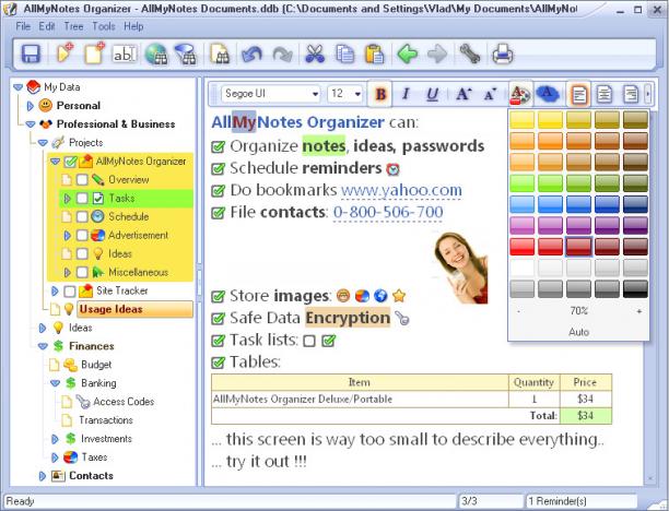 AllMyNotes Organizer Deluxe sc.jpg
