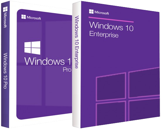 Windows 10 Pro_Enterprise 22H2.png