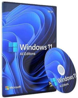 Windows 11 AIO.png