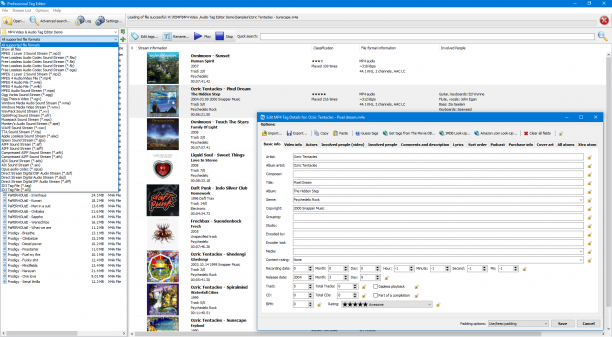 3delite Professional Tag Editor screen.png