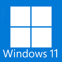 Windows 11 Pro Lite.png
