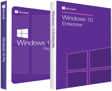 Windows 10 Pro_Enterprise 22H2.png