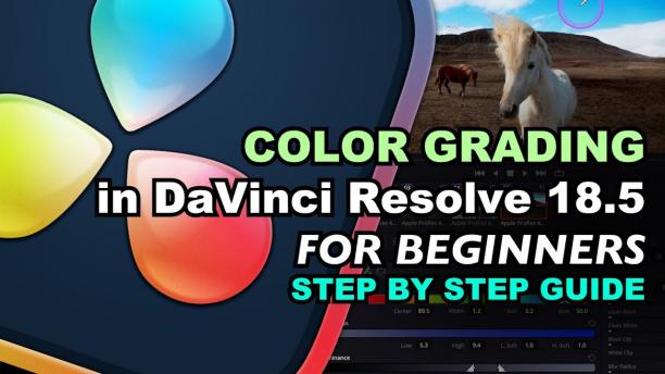 Master Color Grading in DaVinci Resolve.jpg