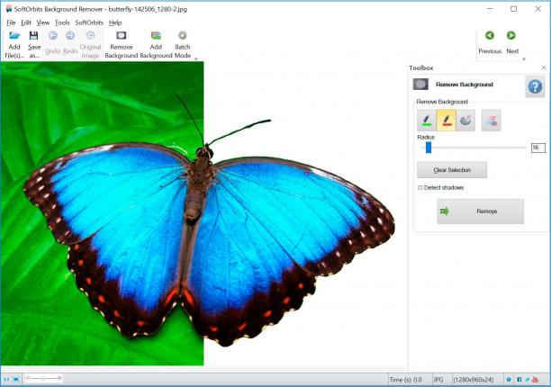 SoftOrbits Background Remover sc.jpg