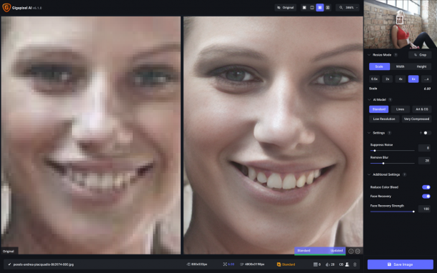 Topaz Gigapixel AI screen.png