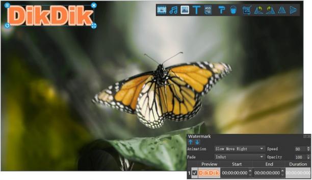 DIKDIK Video Kit screen.jpg