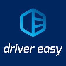 Driver Easy Professional.png