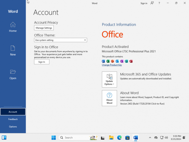 Windows 11 Enterprise 23H2 office.png
