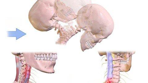 Physiotherapy Management Of Whiplash Injuries.jpg
