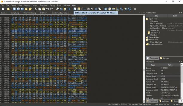 SweetScape 010 Editor screen.jpeg