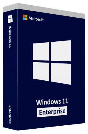 Windows 11 Enterprise 24H2 .png