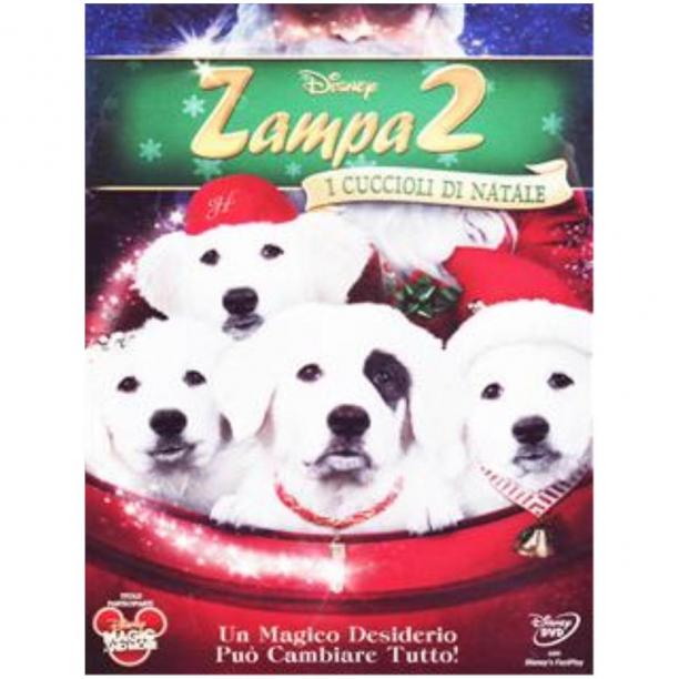 zampa.jpg