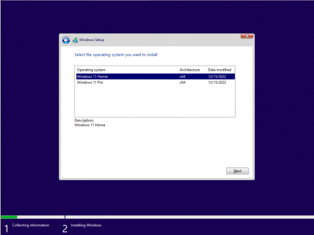 Windows 11 Insider Preview 22H2 Home.png