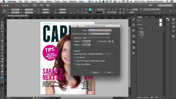 Adobe InDesign screen.jpg