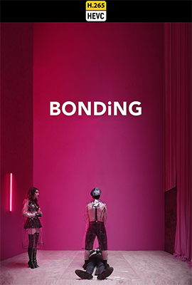 bonding hevc.png