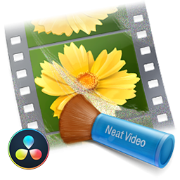 ABSoft Neat Video Pro for DaVinci Resolve.png