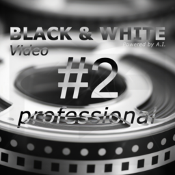 Franzis BLACK & WHITE Video #2.png