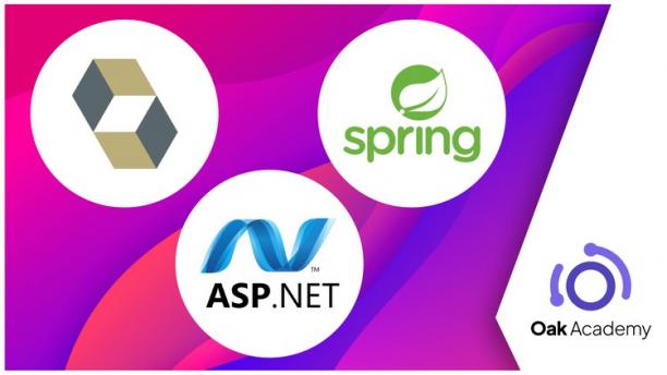 Spring Framework and Hibernate with ASP.NET MVC Course.jpg