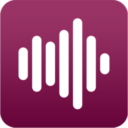 Duplicate Music Fixer.png