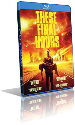 cover.png