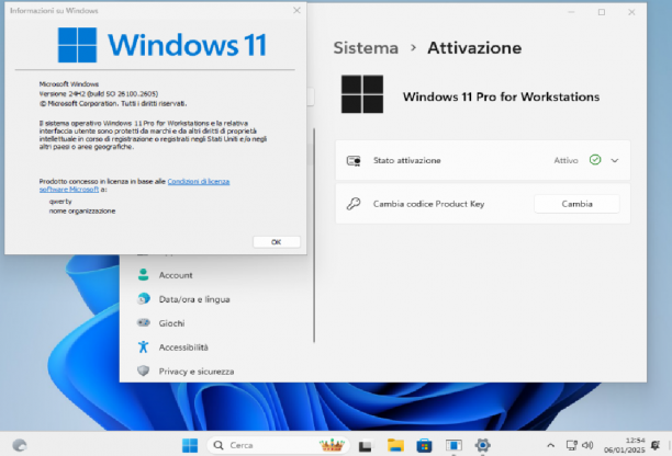 Microsoft Windows 11 Pro for Workstations it.png