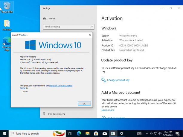 Windows 10 Pro 22H2 sc.png
