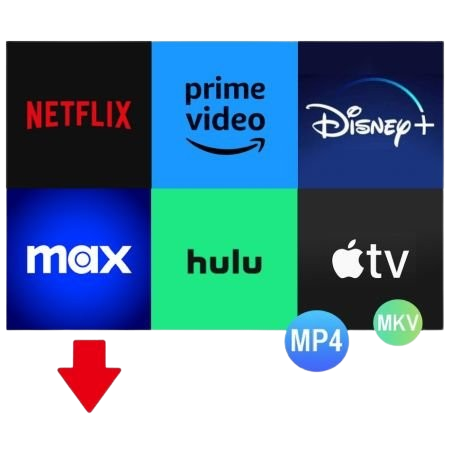 Pazu StreamGet All-In-One Video Downloader.png