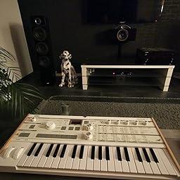 KORG microKORG.jpg