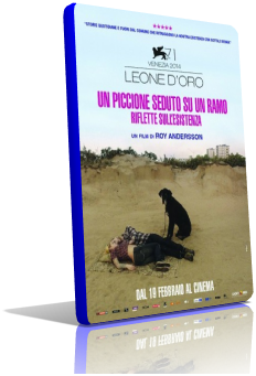 Un-piccione-seduto.png