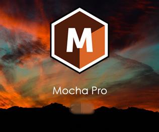 Mocha pro.jpg