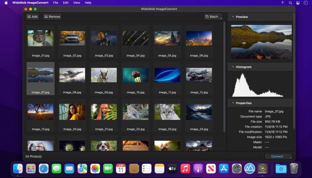 WidsMob ImageConvert screen.jpg