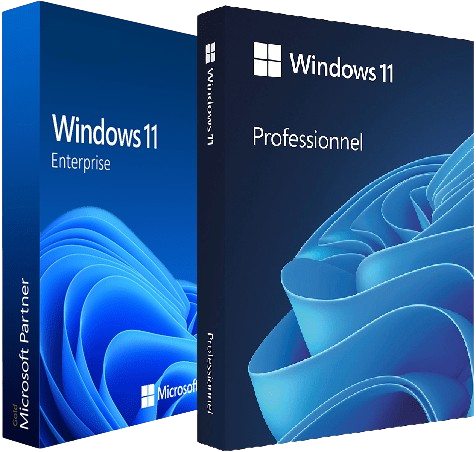 Windows 11 Pro_Ent.png
