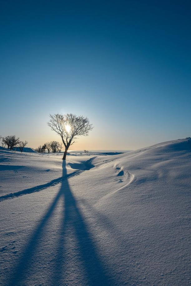 pen_ash-snow-10134653_1920.jpg