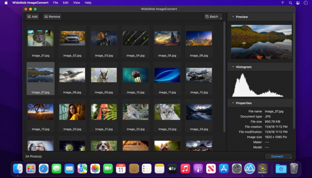 WidsMob ImageConvert1.png