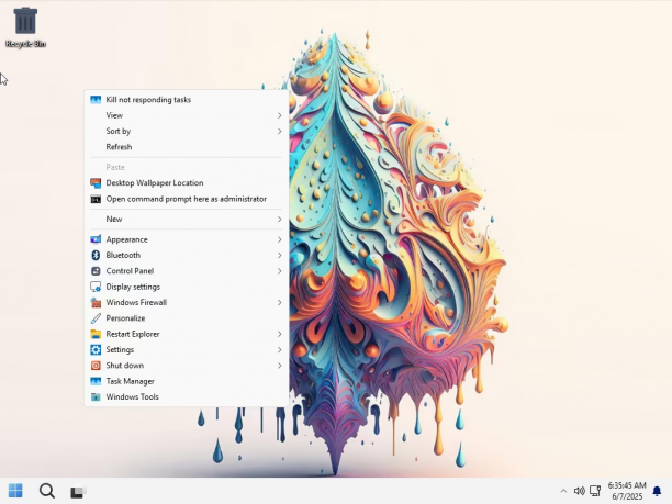 Windows 11 Pro Lite Aria OS sc.png