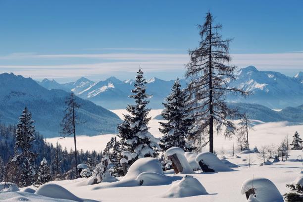 shogun-mountains-7777164_1920.jpg