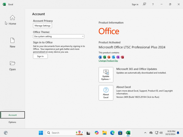 Windows 11 Enterprise 24H2 + o2024 2.png