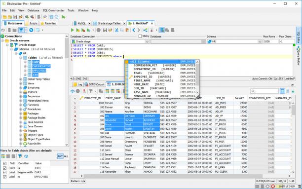 DbVisualizer Pro screen.jpg