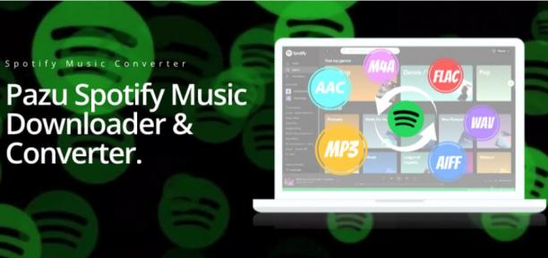 Pazu Spotify Music Converter.jpg