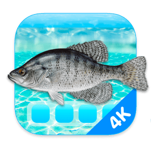 Aquarium 4K - Live Wallpaper macOS.png