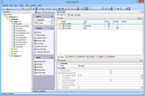 SQLite Maestro sc.jpg