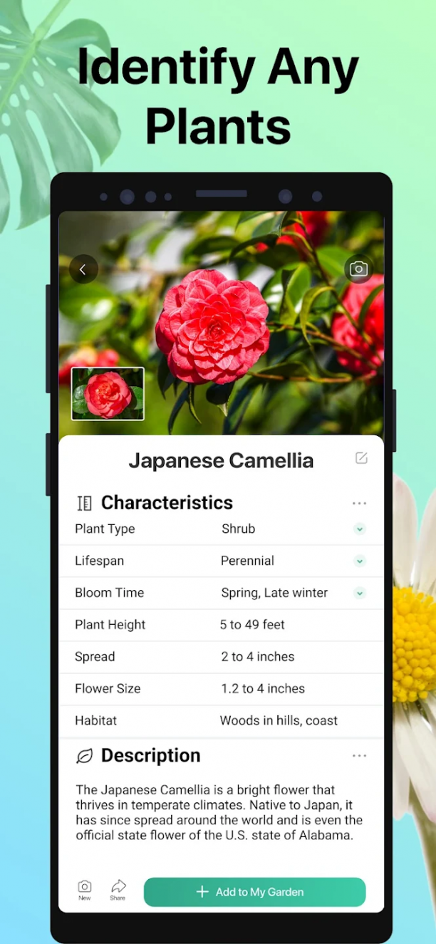 PictureThis - Plant Identifier sc.png